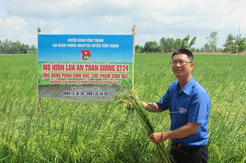 Anh Nguyễn Duy Linh bên mô hình sản xuất lúa theo hướng hữu cơ của mình.